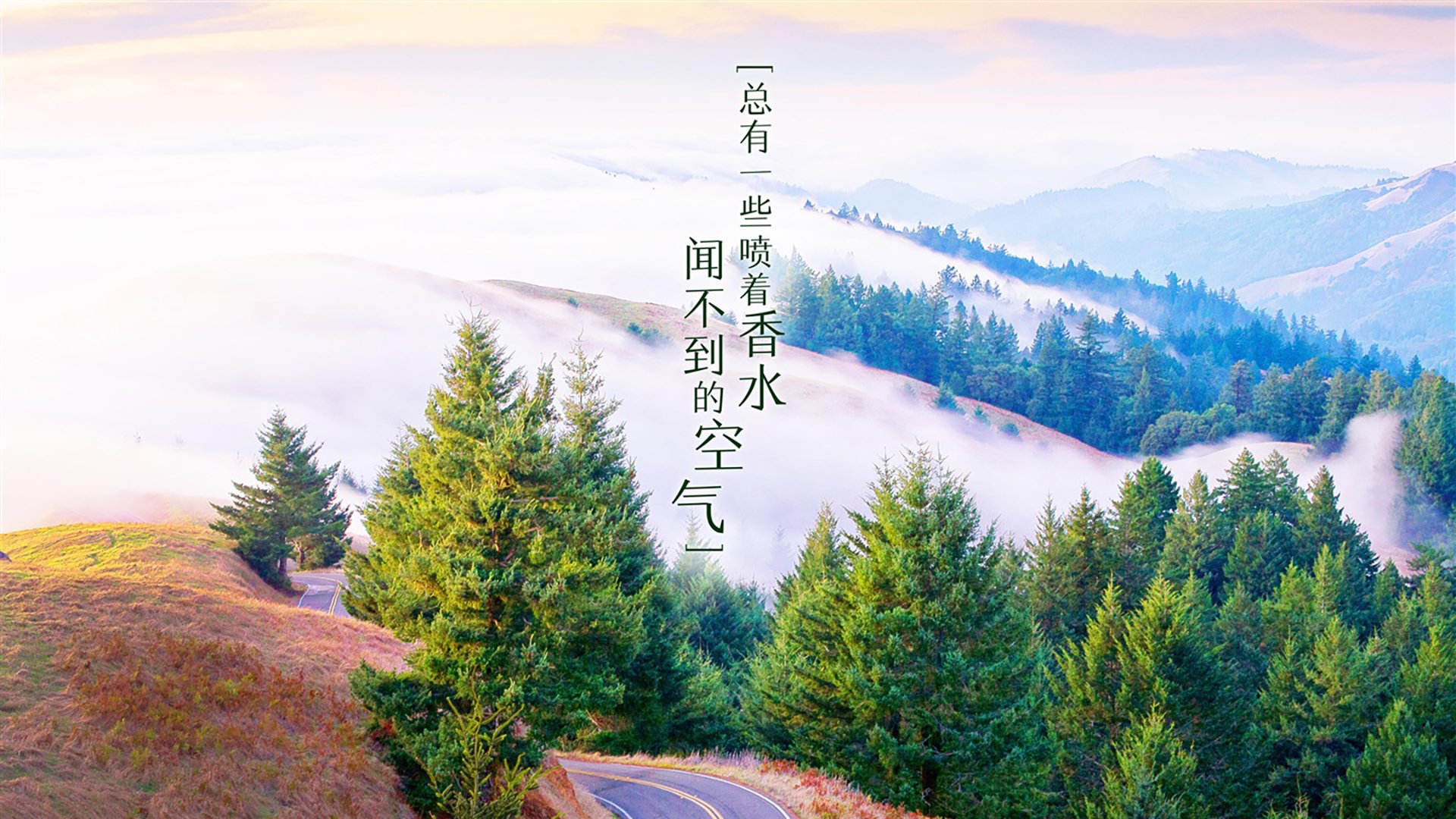双重战场，钢铁担当，兹维列夫的团队使命