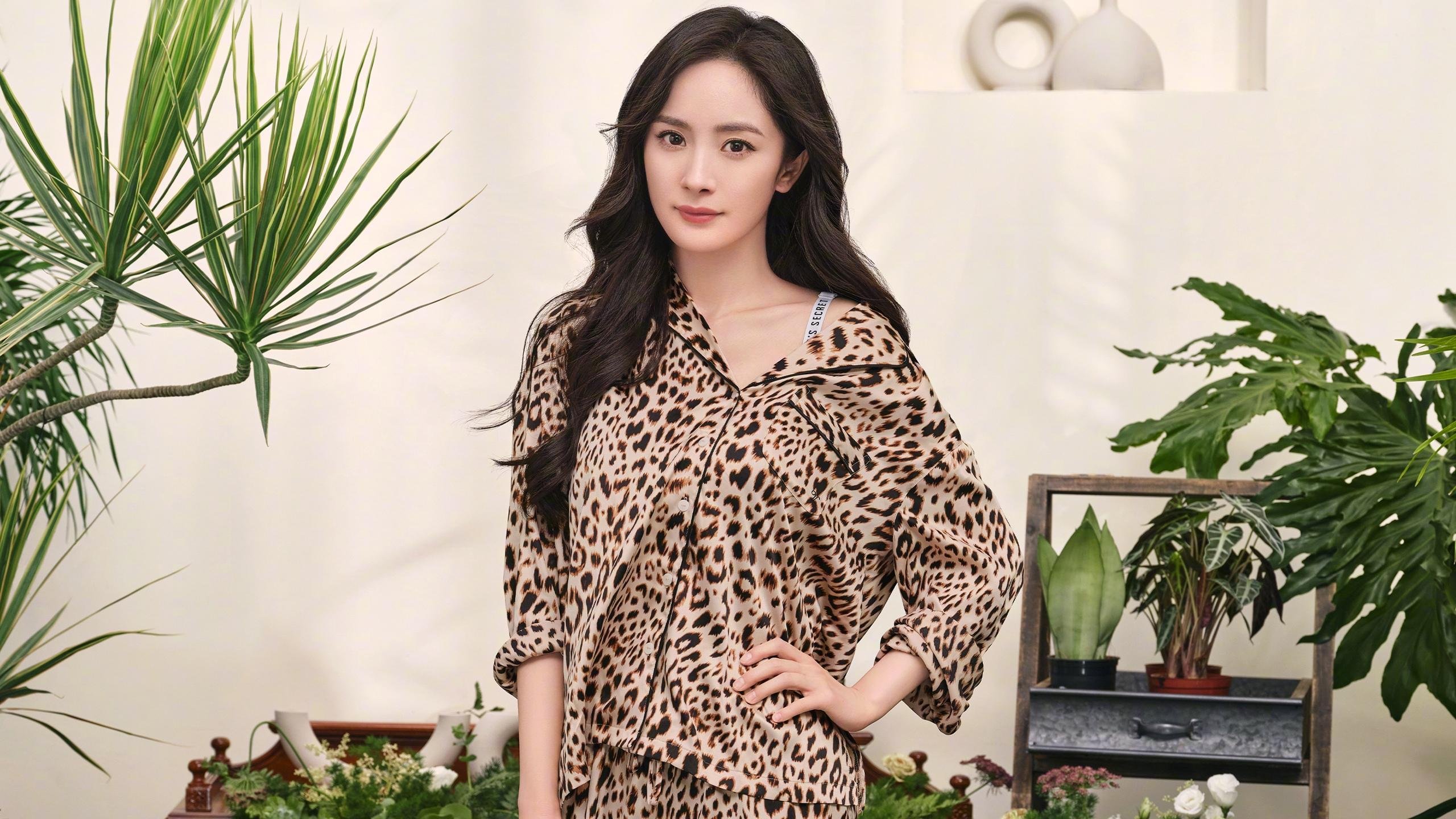 奥地利大奖赛,F1年度争冠的‘单节拉开’与克罗地亚的坚韧启示