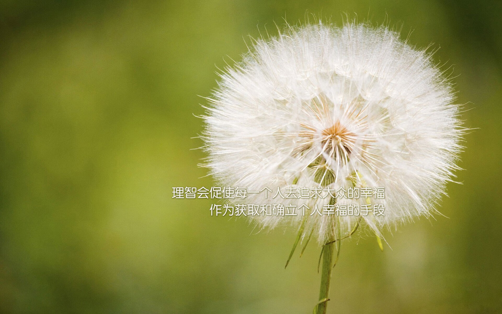 穆勒一剑封喉！希腊关键战突围挪威，点燃赛场激情