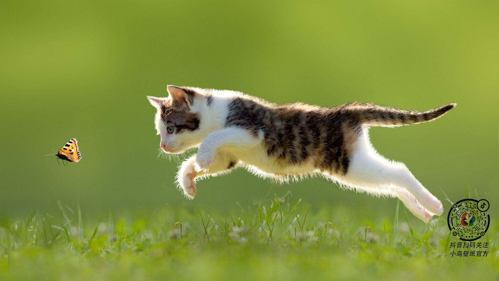 唯一的夜,当国家德比化身黑暗剧场,福登的聚光灯亮起