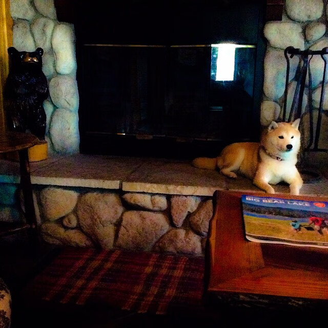 森林狼群撕碎王权,麦克丹尼尔斯与沃克的锁链,戈贝尔的叹息之墙