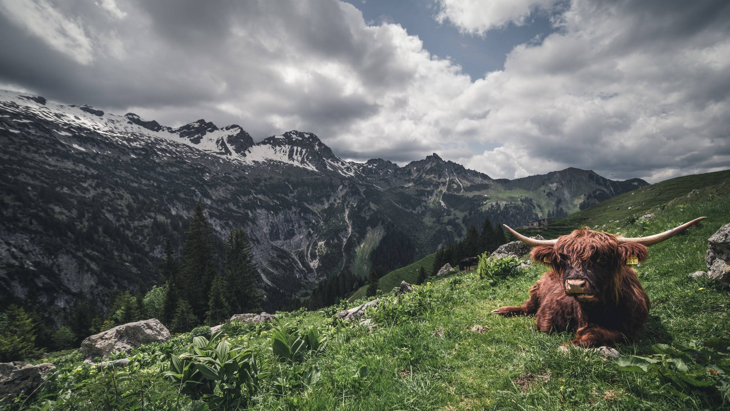 第三节30秒12分!哈登神罚时间击穿老鹰,辽宁精神照亮费城夜空