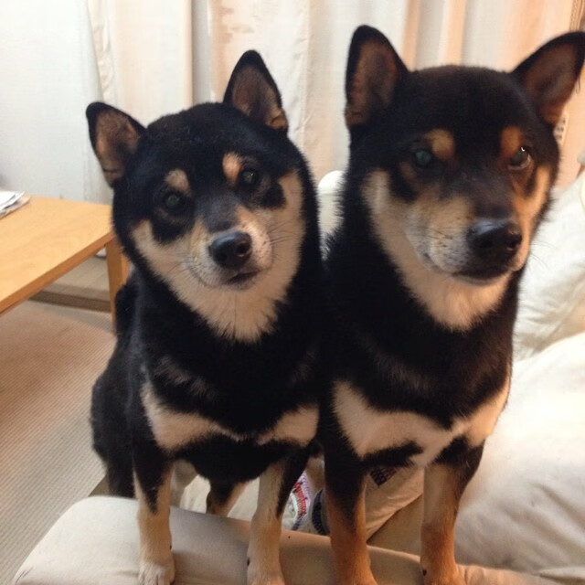 从文班亚马的完美模板到雄鹿的爆发力—现代篮球的战术教科书与执行力对决