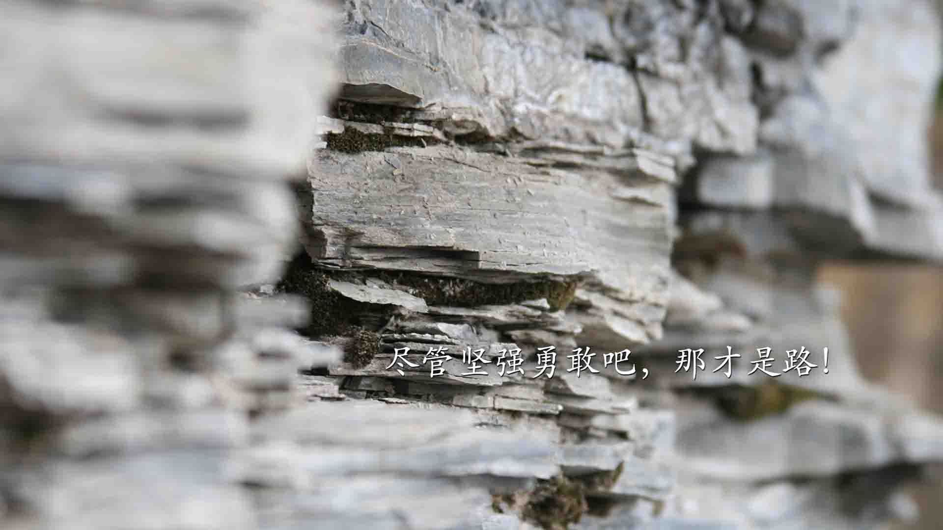 数字与丝绸,当F1的精密计算闯入巴黎的感性战场