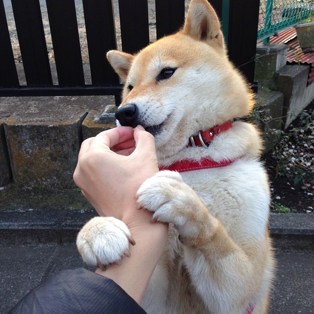 金色狙击手，德布劳内终场弧线，封锁南非飓风的德甲王座之路