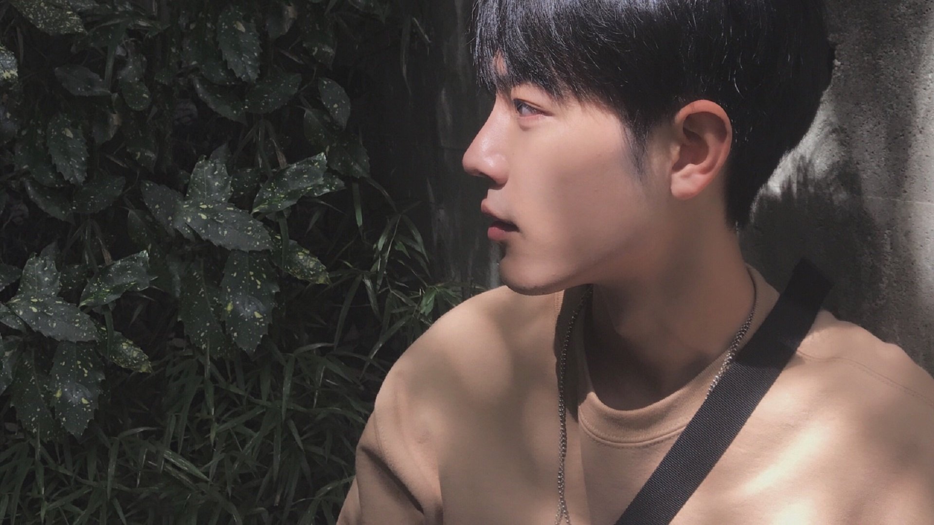 速度与激情,征服与团队,F1揭幕战与NBA焦点战的双重奏