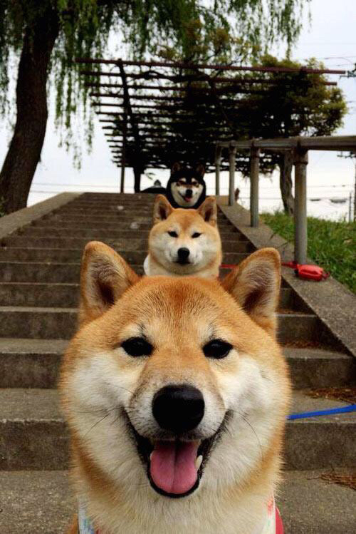 鹰隼试翼，奥运前哨，关键一役突围广东剑指巴黎