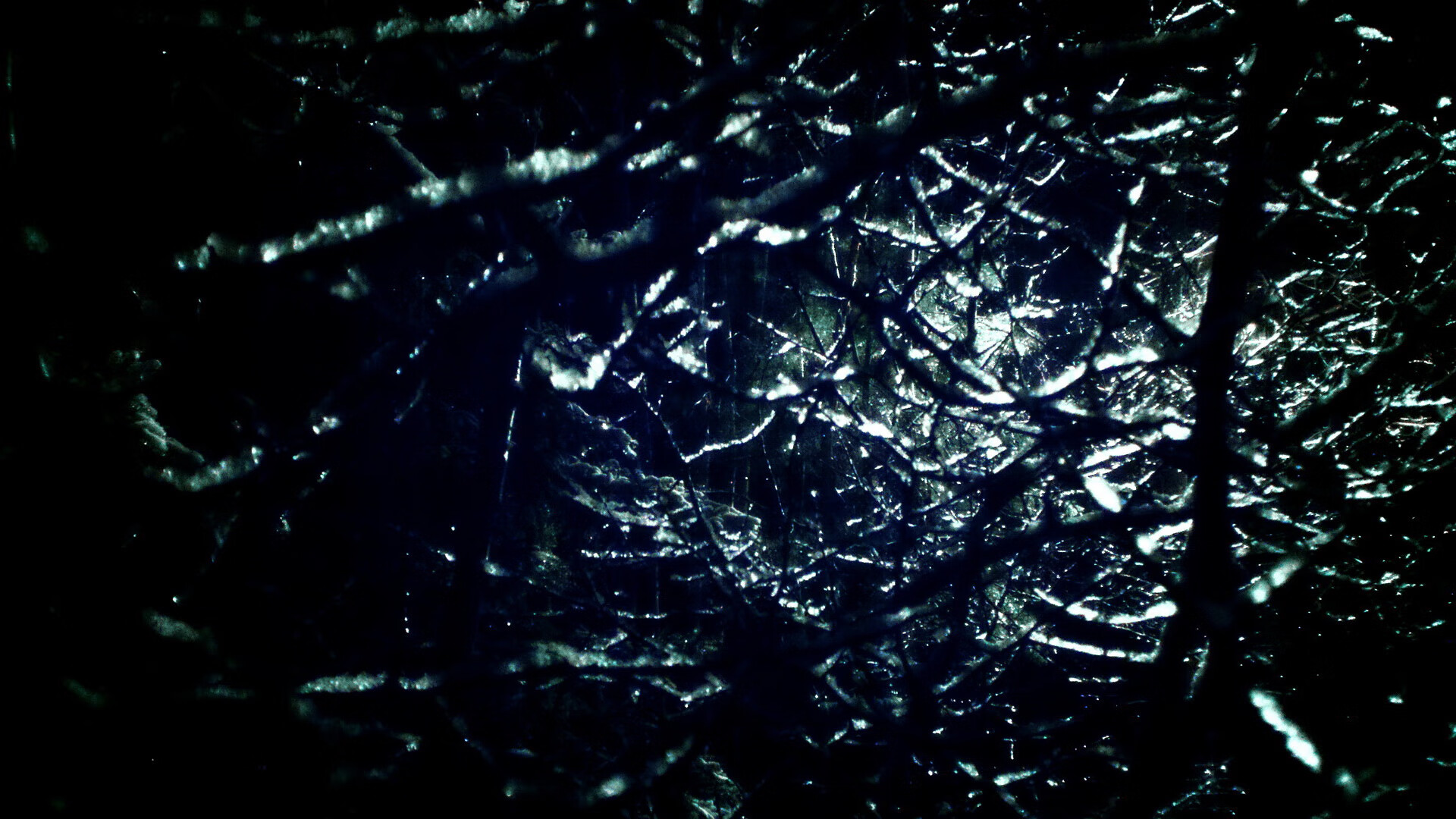 锋刃出鞘，特奥个人能力完全展现，比利时轻取挪威显王者风范