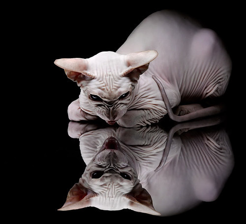 东方力量，马赛击溃切尔西，金玟哉意甲接管战局