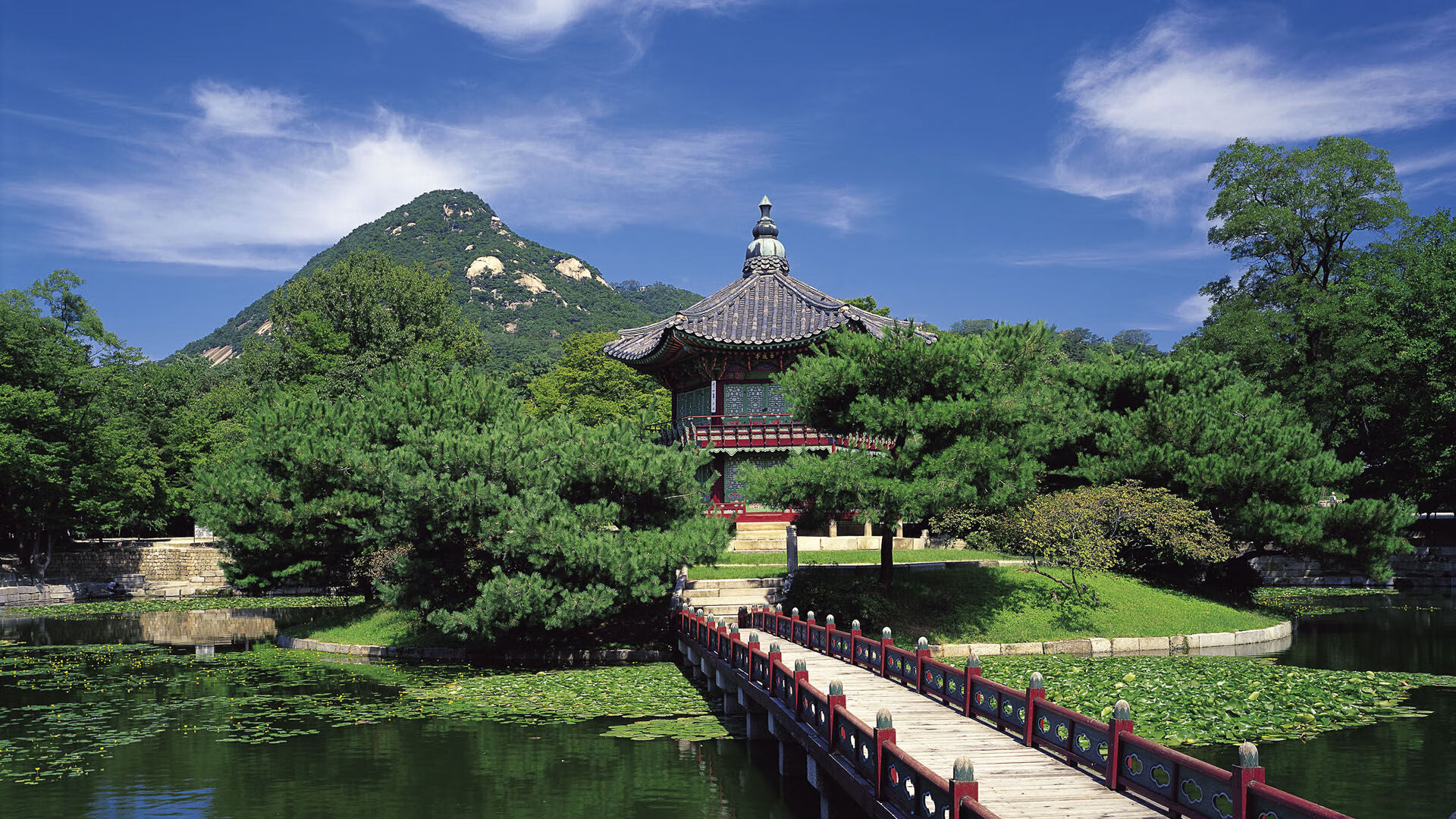恒河热浪吞没东欧铁骑,2026世界杯,印度完胜波兰,哈兰德化身冷血杀手主导生死战