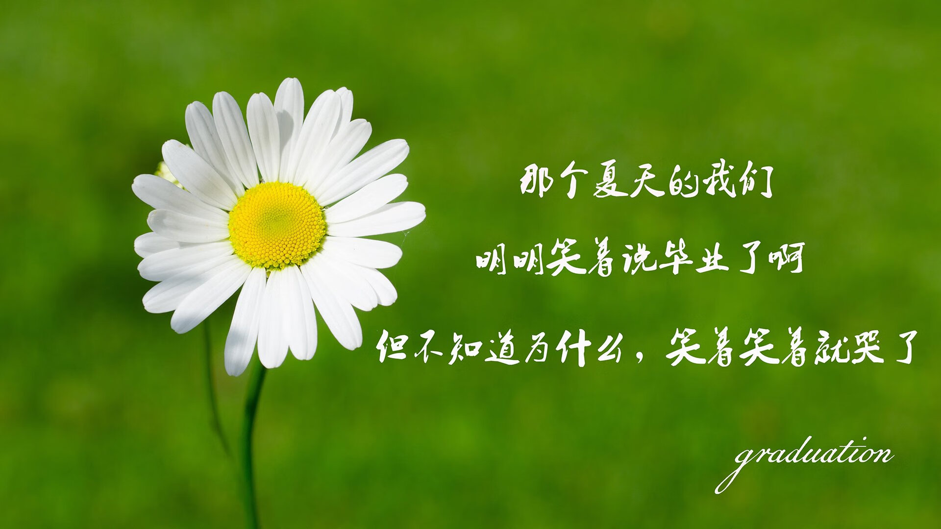 喀麦隆雄狮怒吼,2026世界杯C组惊天冷门,奥斯梅恩独造三球碾碎德国战车